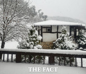 대동강 물 풀린다더니…우수 지나 찾아온 폭설에 영주시 화들짝