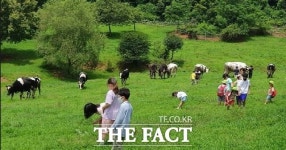 부여군, 깨끗한 축산 농장 24곳으로 확대한다