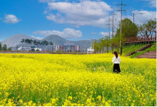 단순 방문 NO, 머물고 싶은 울진 체류형 봄 관광 홍보 박차