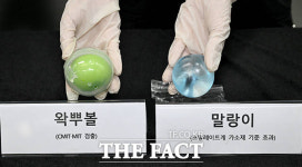 '말랑이·왁뿌볼'서 유해물질 최대 164배 검출…