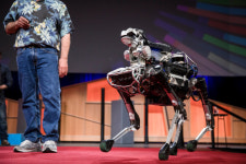 美인개 | Hyundai Motor may buy Boston Dynamics, Spot robot maker