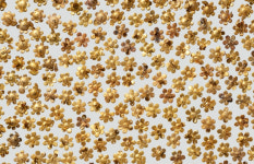 Entire contents of King Muryeongs tomb on display for first time