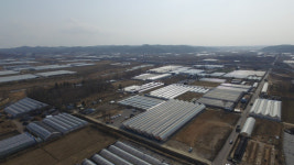 Industry Ministry backs Yongin for worlds largest chip cluster, snubs relocation push