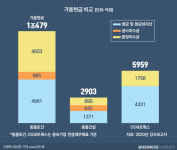 대우건설 삼켰다가 금호도 탈났는데…중흥·DS네트웍스는?