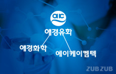 [공시줍줍]애경유화 합병공시 읽어보기