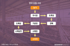 대형마트 반값 한우에 담긴 슬픈 현실