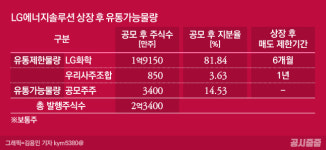 [공시줍줍]LG에너지솔루션 증권신고서 읽어보기
