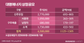 [거버넌스워치]대명에너지 오너 상장공모 300억 현금화, 왜?…거액 상속세