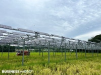논에 태양광 세우니…농사·전기 일거이득