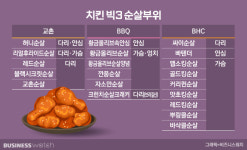 다 똑같은 순살이 아니다…순살치킨의 모든 것