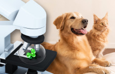 인체의약품 제조시설서 동물약 생산…제약업계 환영