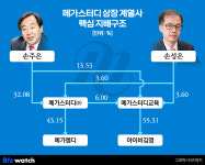 [거버넌스워치]메가스터디 오너家 막내, 메가엠디 ‘소방수’?