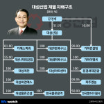 [거버넌스워치]대성산업 오너 김영대의 후계승계 ‘미궁’