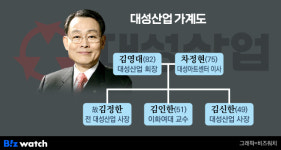 [거버넌스워치]대성산업 오너 김영대의 후계승계 ‘미궁’