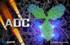 ADC와 저분자 면역항암제의 만남, 기대되는 이유