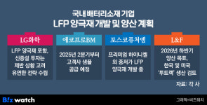 ㈜엘지화학 청주공장(LFP PILOT동)-3호기 | 미국서 LFP 만드는 LG엔솔...'가격경쟁력 최대 과제'