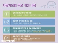 부정수급 막는 자동차보험 내년 갱신부터 순차 적용