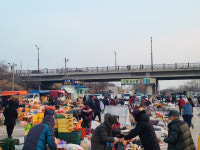 그래도 명절 강릉 남대천 새벽시장 활기