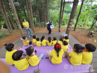 코로나19에 산림휴양 적지 강원도 숲 관심 뜨겁다