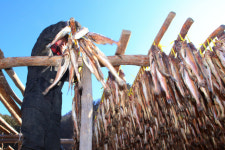 [한반도의 허리 강원 백두대간 대탐사] ⑤ 내설악 황태마을 용대리 이야기