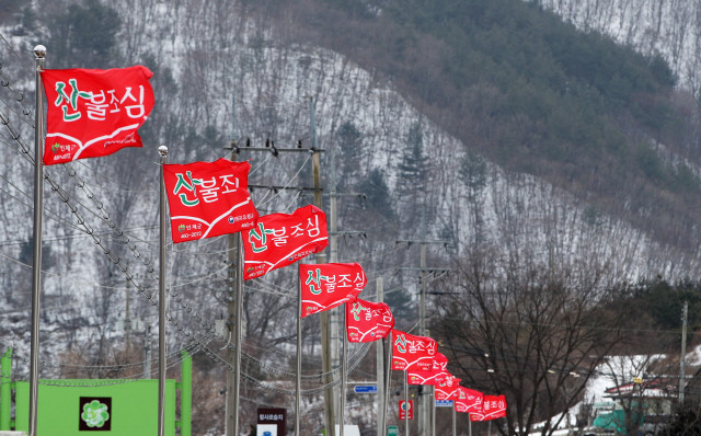 기후 변화로 인한 산불 대형화, 건조한 날씨와 강풍으로 증가한 산불 위험성