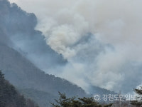 [3보] 영월 운교산 산불 922m 정상까지 확산… 진화에 어려움