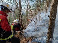 [영월 산불] 김삿갓면 운교산 산불 총력 진화에도 밤새 피해 눈덩이