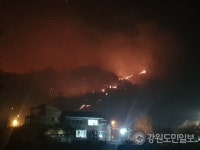 [강릉 산불] 성산면 송암리 산불 11시간만에 진화… 현재 잔불정리 중