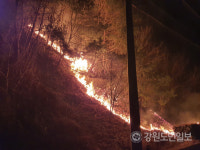 강릉·동해 산불 새벽 강풍으로 악전고투… 산간주민 대피령