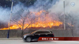 산불로 차단된 동해고속도로 동해IC~옥계IC 구간 통행 재개