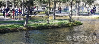 양양 연어자연산란장 송현리 조성 가시화