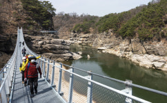 철원 주상절리길 20만명 방문 효자 노릇