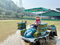모판 나르고 이앙기 운전하고…김진태 농민표심 공략