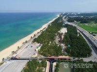 죽도,물치,하조대,기사문…내게 딱 맞는 양양 서핑 해변은 어디?