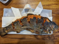 [맛있수다] 직접 양식한 고품질 송어, 쫄깃한 식감 입맛 사로잡아