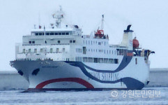 [현장컷] 국제카페리 이스턴드림호 동해항 입항