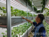 [채널 동태삼] 태백의 폐광부지에서 쑥쑥 자라나는 미래먹거리