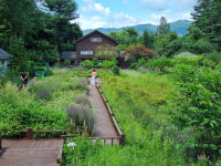 수놓인 꽃 별천지 국립한국자생식물원