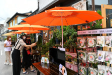 폐광지 작은 마을 색칠하는 야생화