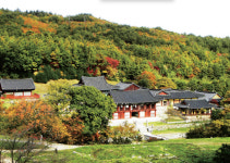 복잡한 세상 벗어나 빨갛게 물들 천년의 역사 속으로