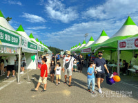 동해시 평생학습 愛, 책문화 축제성료