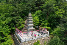 [한반도의 허리 강원 백두대간 대탐사] 23  정선 함백산과 만항재, 그리고 정암사