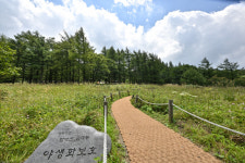[한반도의 허리 강원 백두대간 대탐사] 23  정선 함백산과 만항재, 그리고 정암사