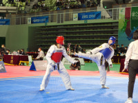 암초 부딪힌 강원… 육상·태권도 선전불구 11위 머물러
