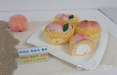 원주 치악산 복숭아빵 조엄 고구마빵 연내 제품 출시