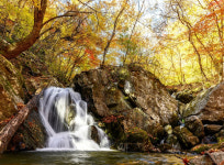 원시자연 간직한 생태탐방로 정선 황골숨바우길 힐링명소 예약