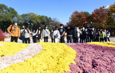 화창한 날 꽃구경