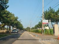 강릉 사천진해변~연곡해변 3㎞ 구간 버스정류장 미설치로 관광객 불편