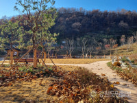 단종 위패·영정 모셔진 영월 영모전 산림조경숲 조성 마무리