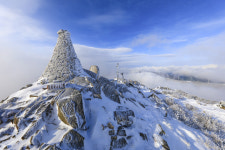 [한반도의 허리 강원 백두대간 대탐사] 28. 산상의 화원